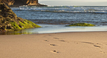 Joint European Research Infrastructure of Coastal Observatories: Science, Service, Sustainability