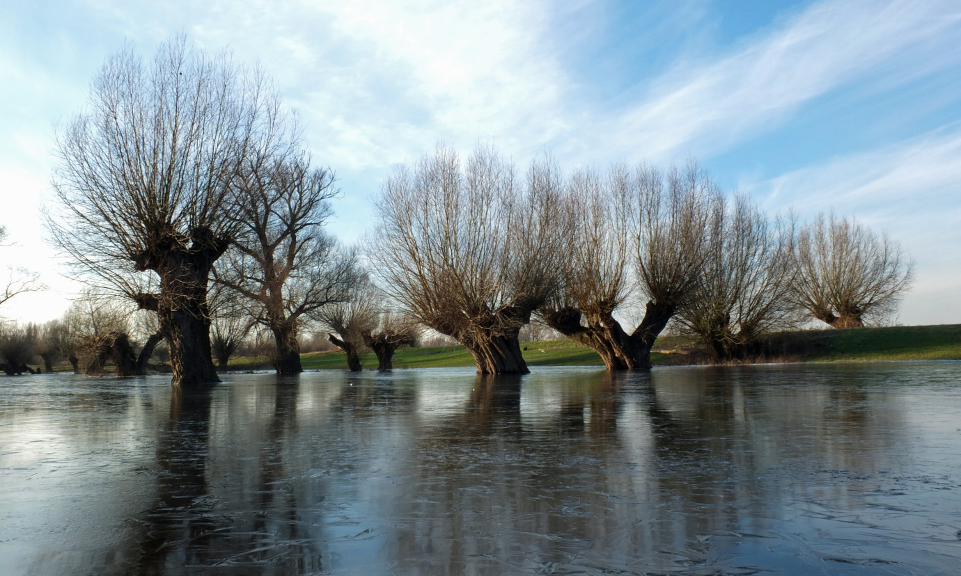 Fostering Interoperability for Disaster Resilience