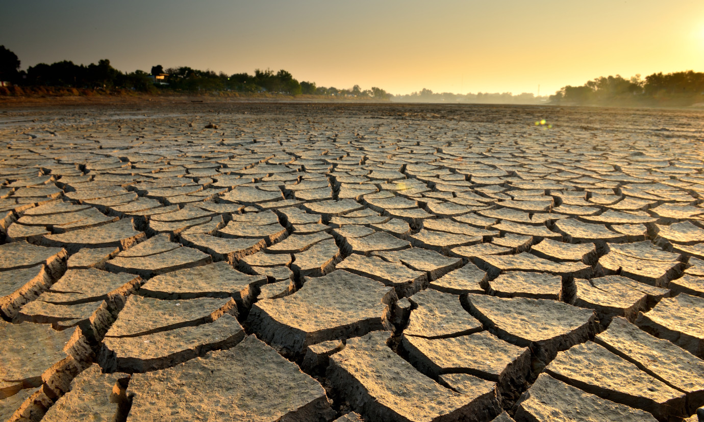 Climate Change Adaptation