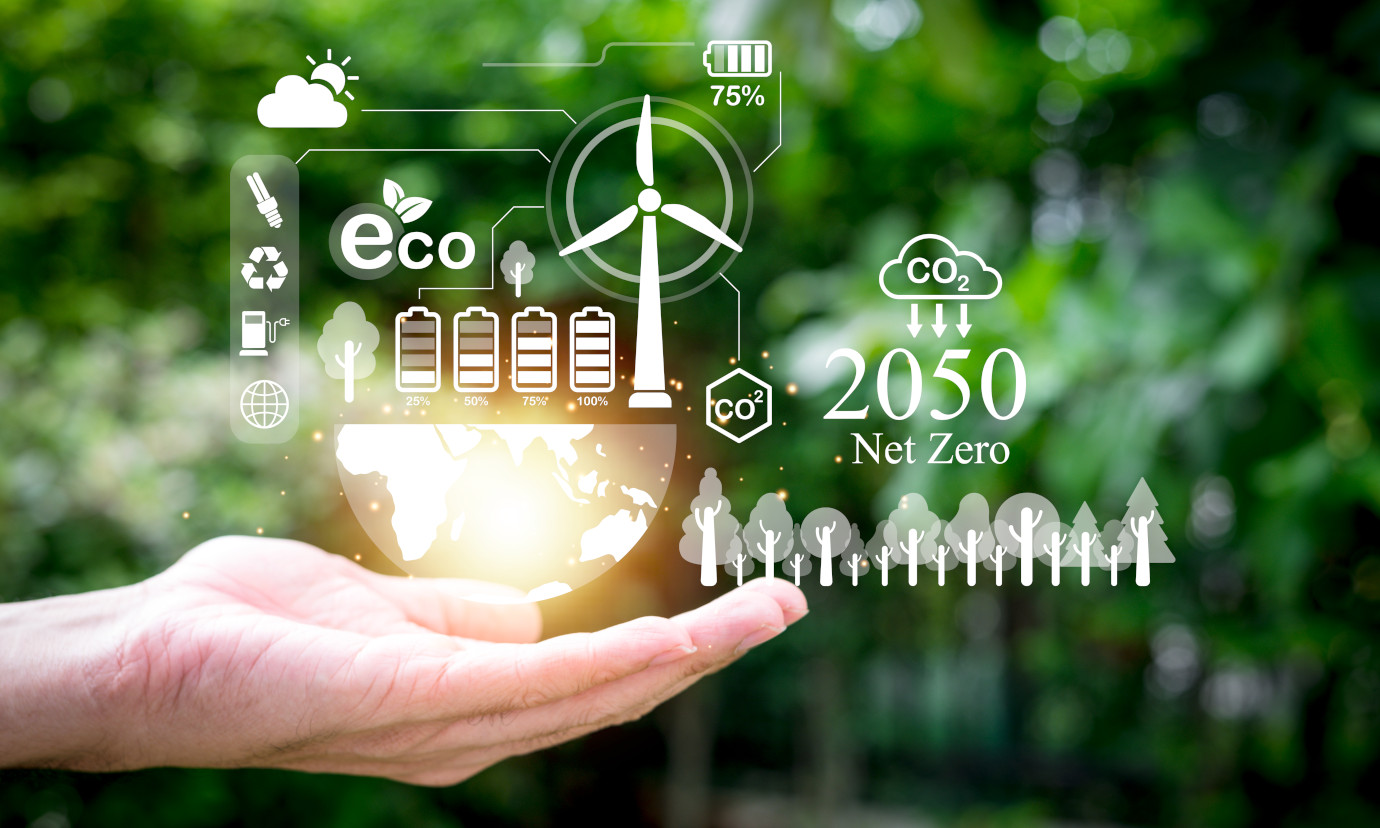Environmental Data Management 