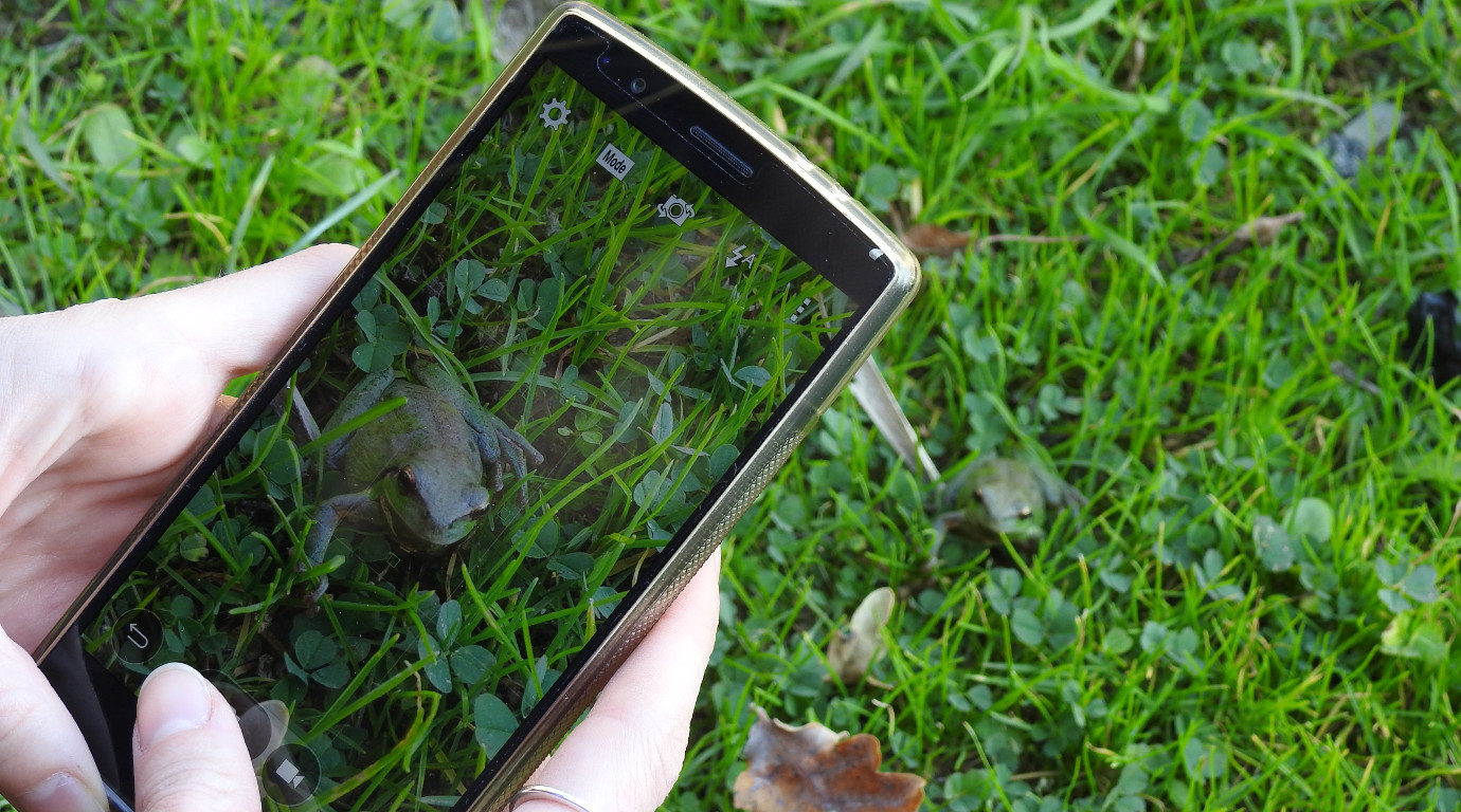Citizen Science