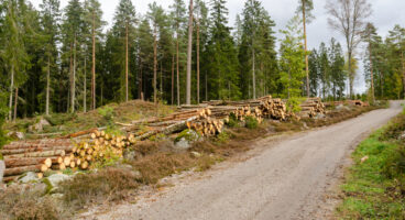 NavLog - Forest Road Network Management