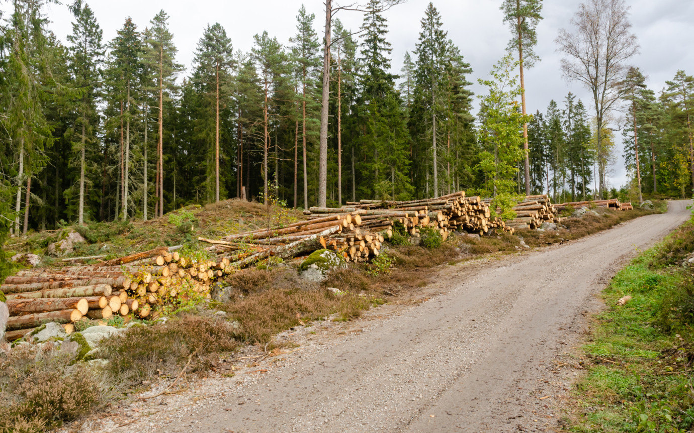 NavLog – Forest Road Network Management